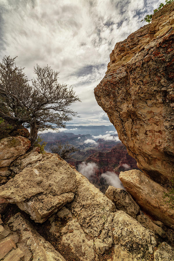 North Rim Fog 1 - Grand Canyon National Park - Arizona Photograph by Brian Harig