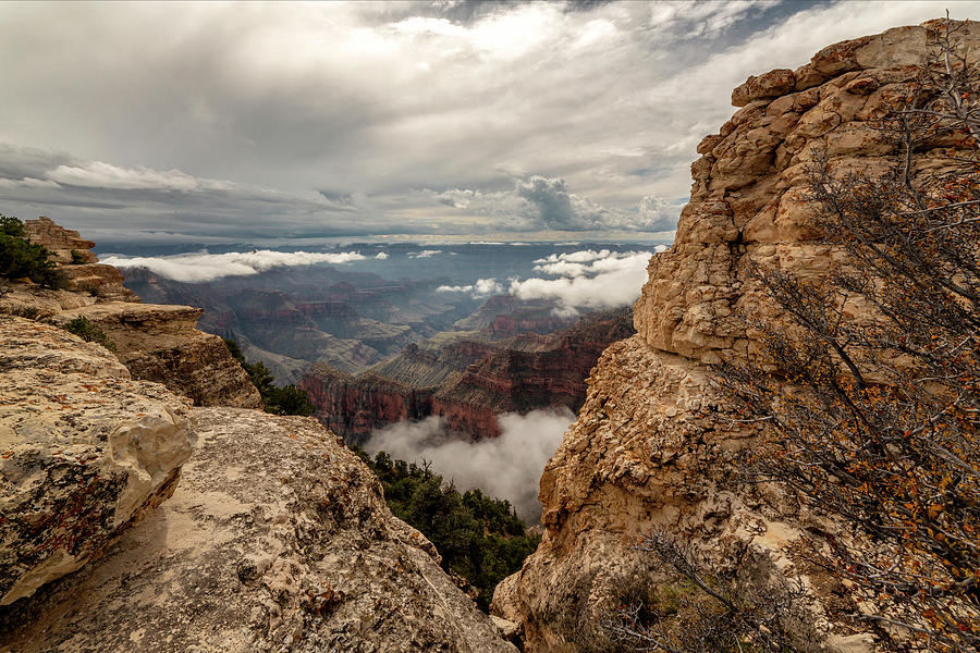 North Rim Fog 3 - Grand Canyon National Park - Arizona Photograph by Brian Harig