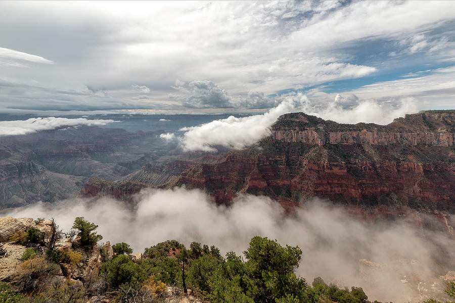 North Rim Fog 4 - Grand Canyon National Park - Arizona Photograph by Brian Harig