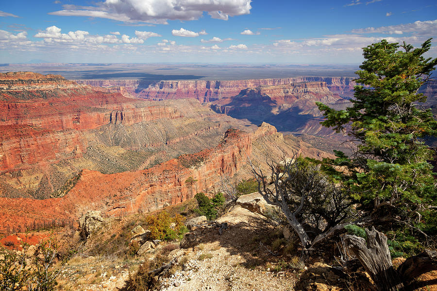 North Rim Grand Canyon National Park II Photograph by Ricky Barnard ...