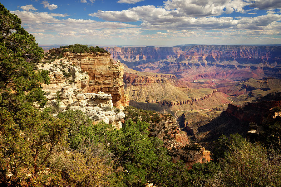 Nature Photograph - North Rim Grand Canyon National Park IV by Ricky Barnard