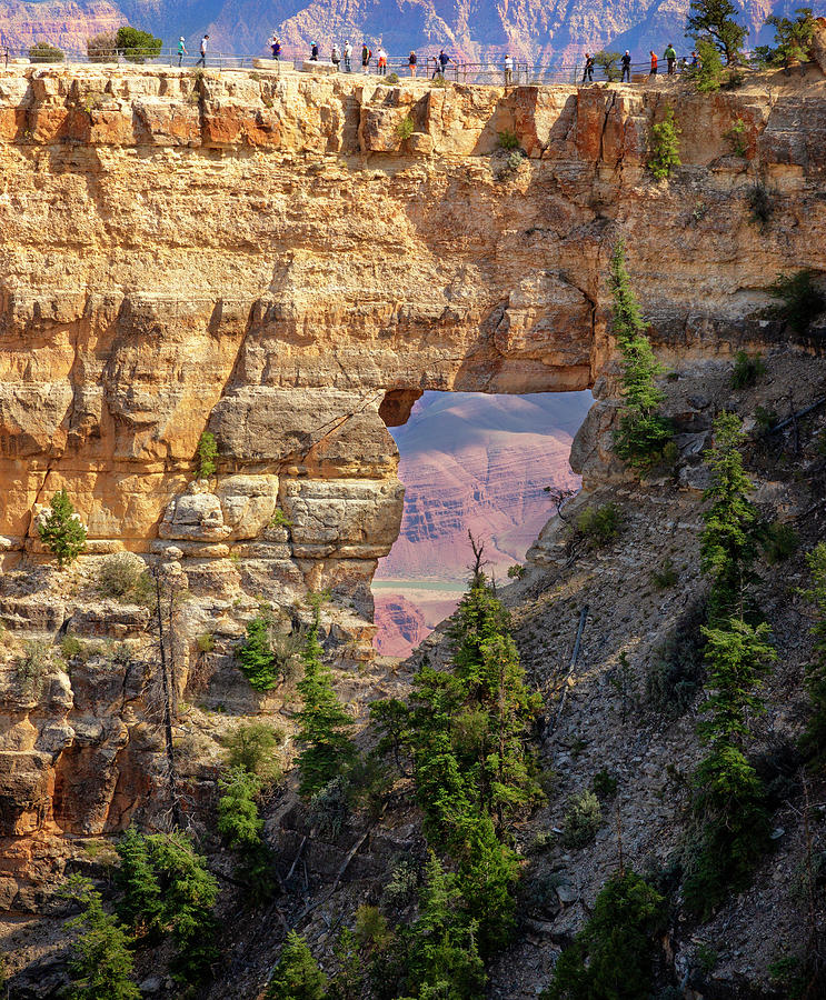 Top 98+ Images north rim grand canyon photos Excellent