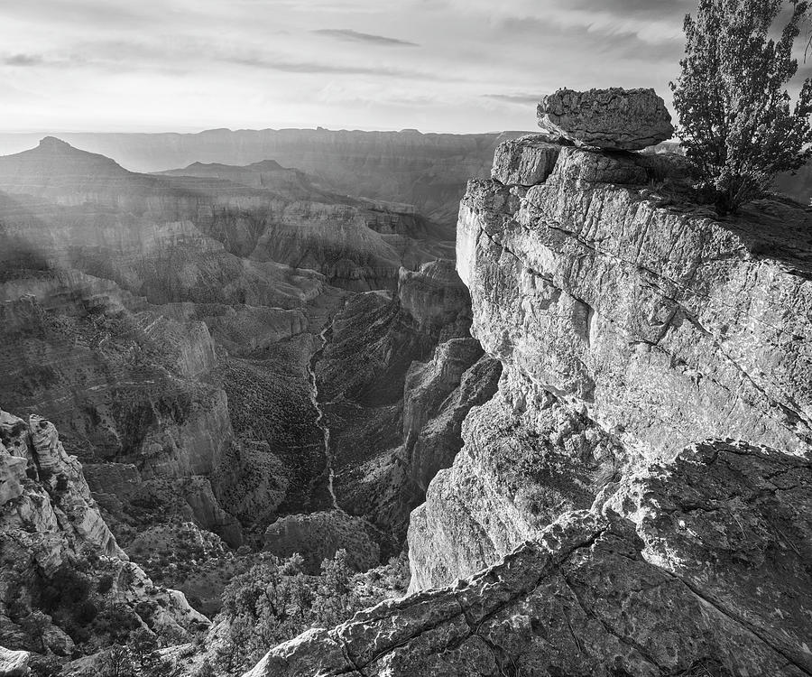 North Rim, Grand Canyon Photograph by Tim Fitzharris