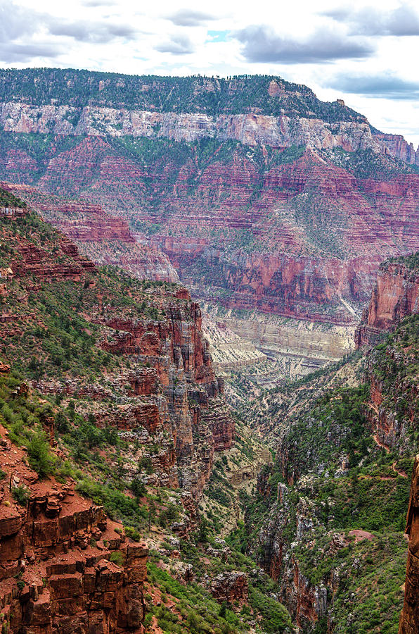 North Rim Layers of Color Photograph by Douglas Wielfaert