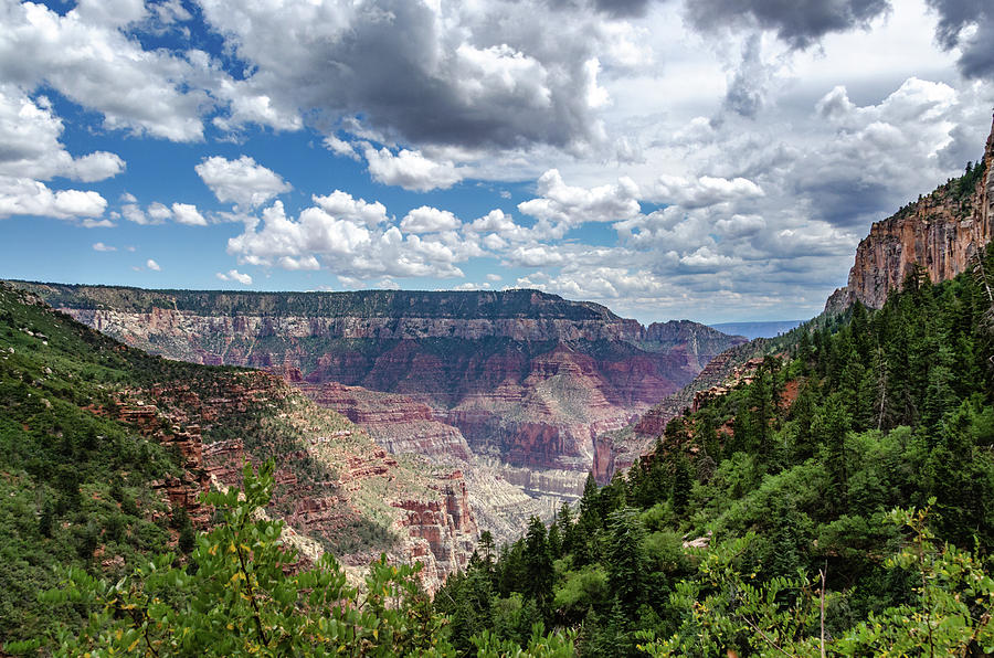 North Rim Monsoon Clouds and Colors Photograph by Douglas Wielfaert