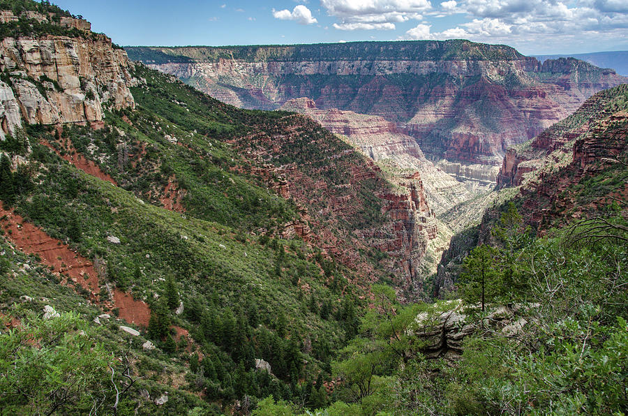 North Rim Nice View Photograph by Douglas Wielfaert