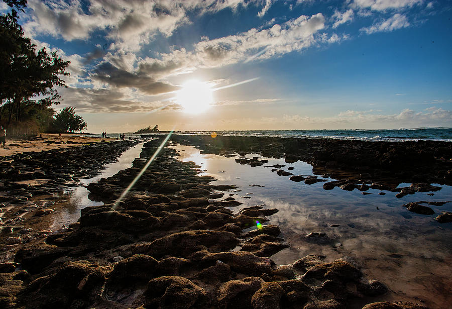 North Shore Tide Pools Photograph by Anthony Jones