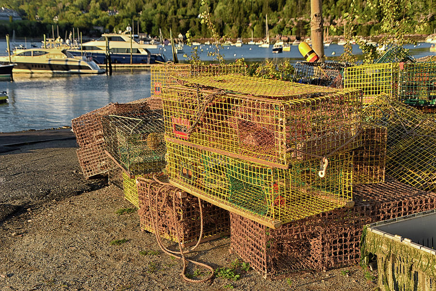 Northeast Harbor Marina Traps Photograph by Mike Martin