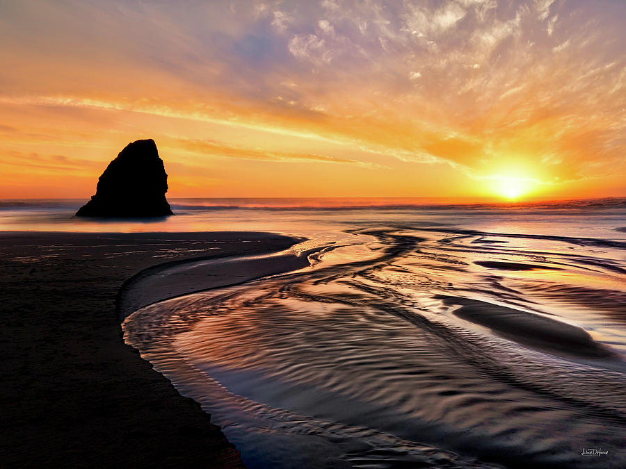 Northern California Coast Sunset Photograph by Leland D Howard