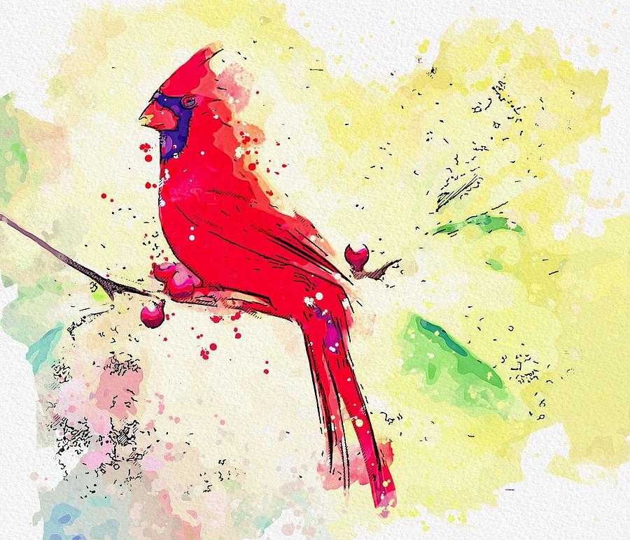 NORTHERN CARDINAL watercolor by Ahmet Asar Painting by Celestial Images