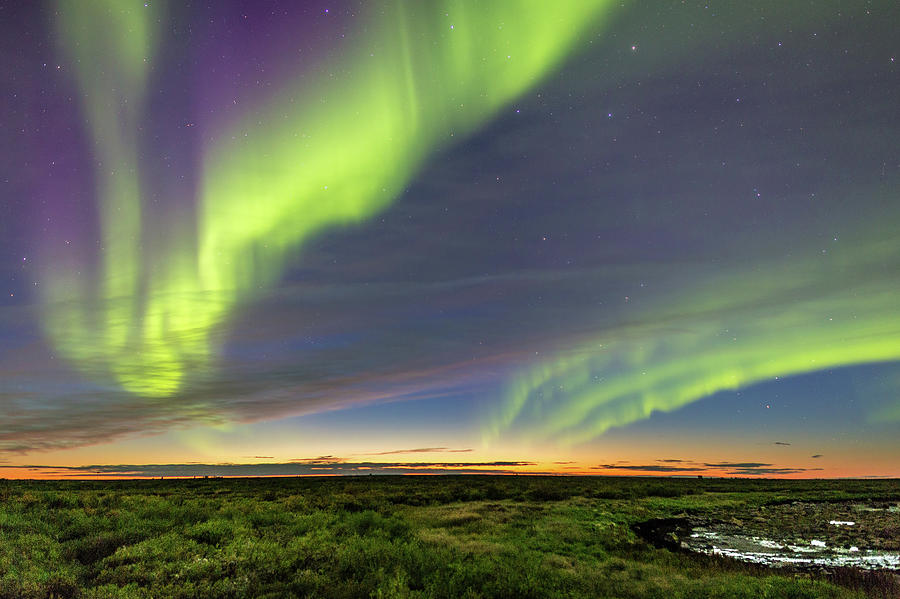 Northern Lights Photograph by Brian Donovan - Fine Art America