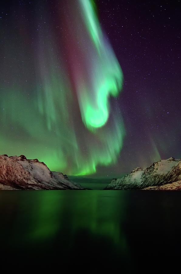 Northern Lights- Curves And Colors Photograph by John Hemmingsen