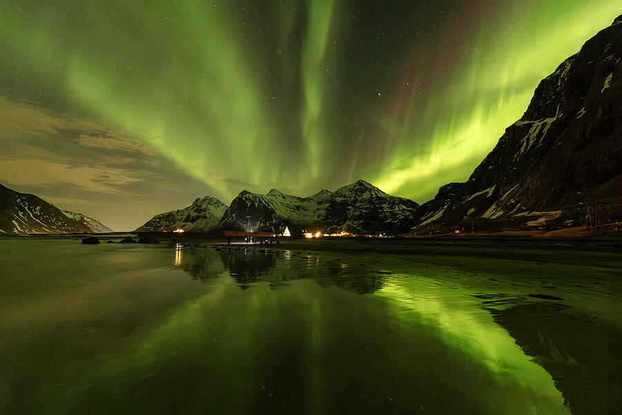 Northern Lights, Lofoten Photograph by Dan Mirica