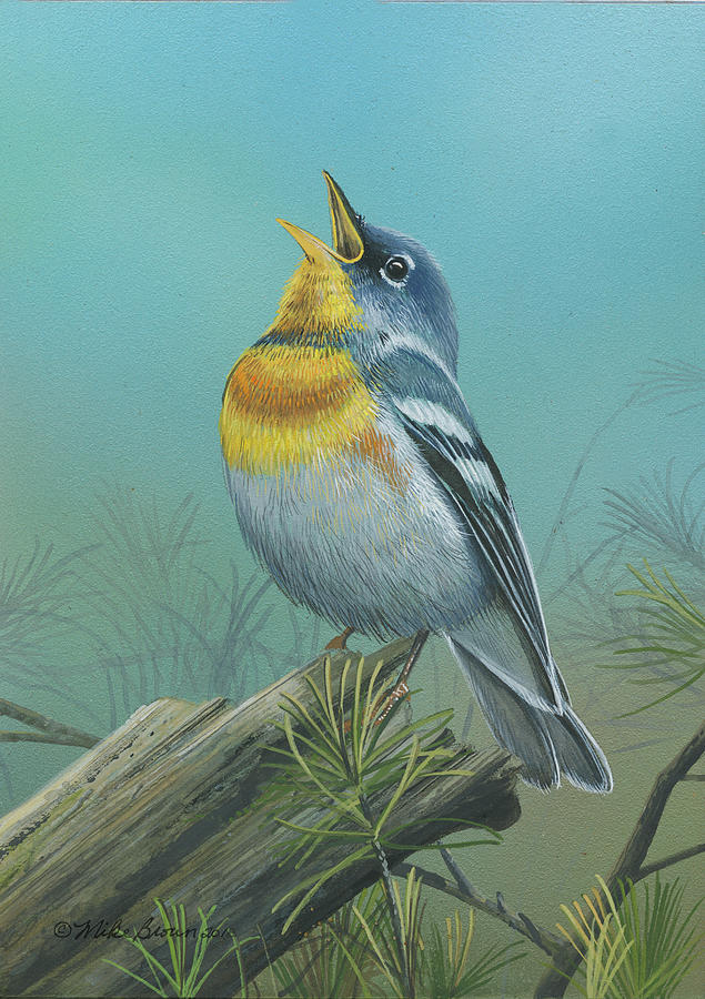 Nature Painting - Northern Parula  by Mike Brown