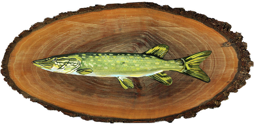 Northern Pike Painting by Phil Chadwick