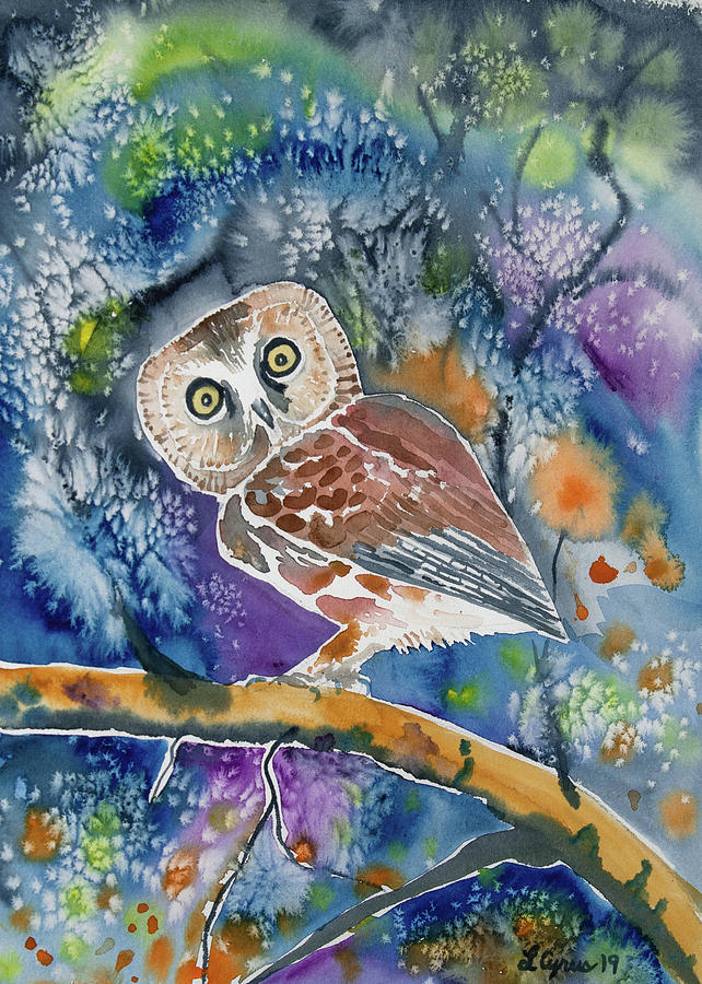 Northern Saw-Whet Owl with Autumn Night Sky Painting by Cascade Colors
