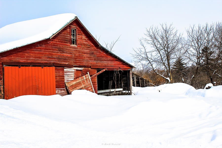 Northern Wisconsin Winter Photograph by Michelle Ressler
