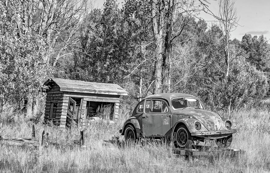 Tree Photograph - Northland Used Cars - Deal Of The Week bw by Steve Harrington