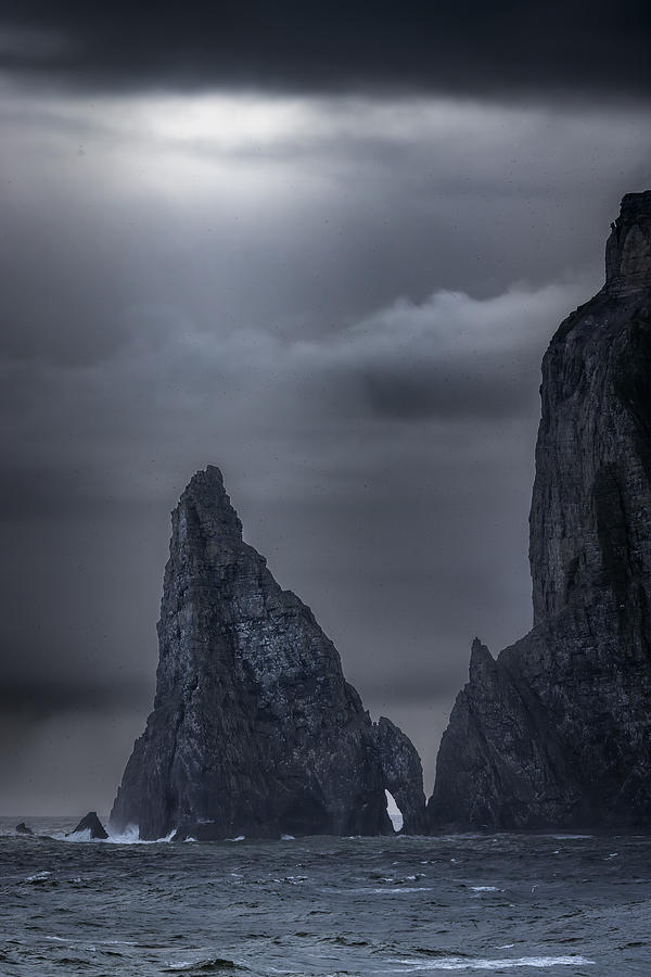 Norway, Bear Island-80274a Photograph by Raimondo Restelli
