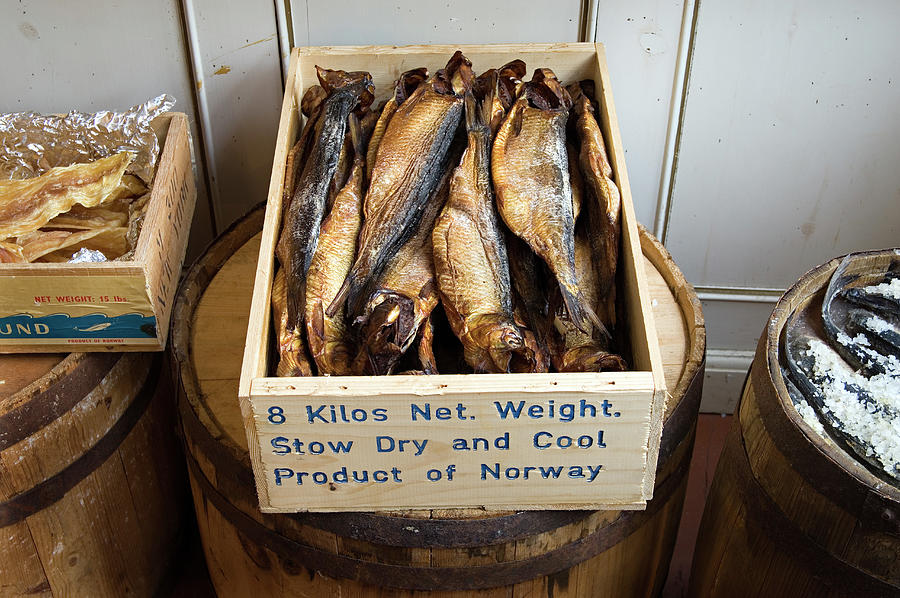 Norway, More Og Romsdal, Alesund, Scandinavia, Dried Fish At The Alesund Fisheries Museum Digital Art by Colin Dutton