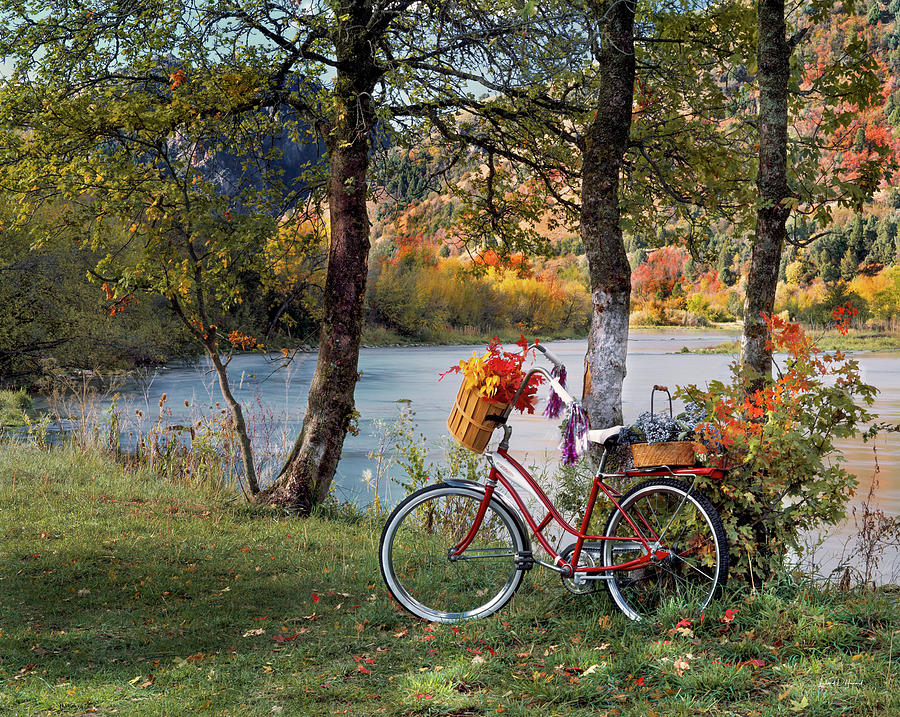 Nature Photograph - Nostalgia Autumn by Leland D Howard