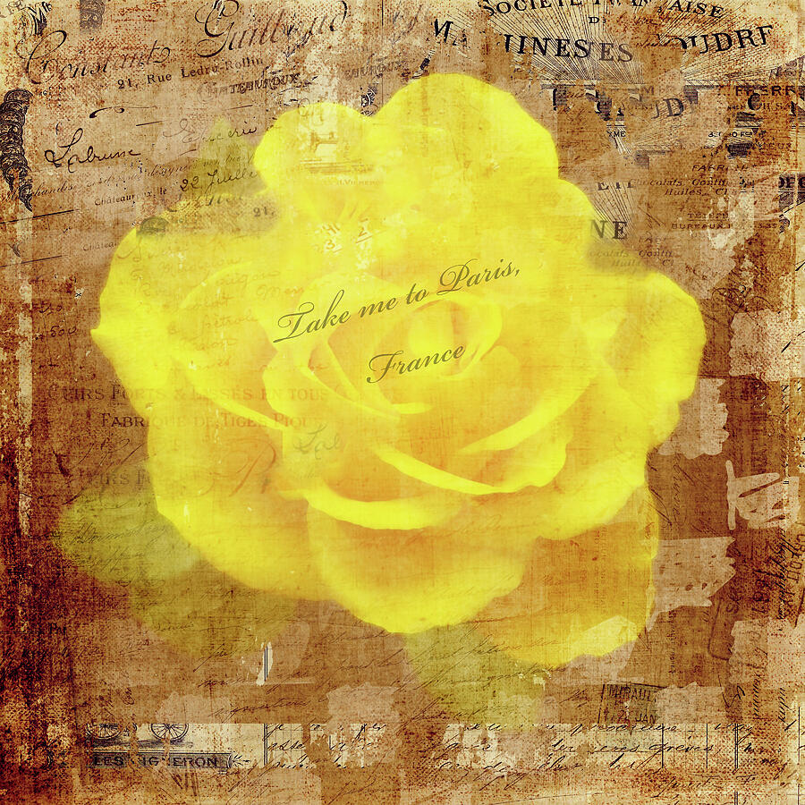 Nostalgic Yellow Rose Art Work Mixed Media by Johanna Hurmerinta