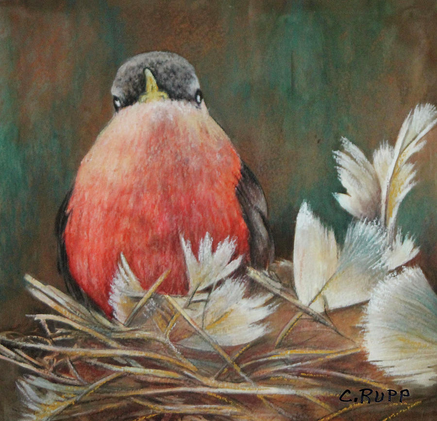 Bird Painting - Not An Early Bird by Carol J Rupp