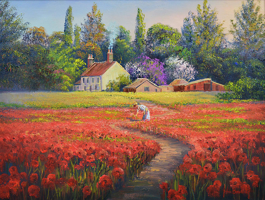Poppy Painting - Not Forgotten by John Bradley