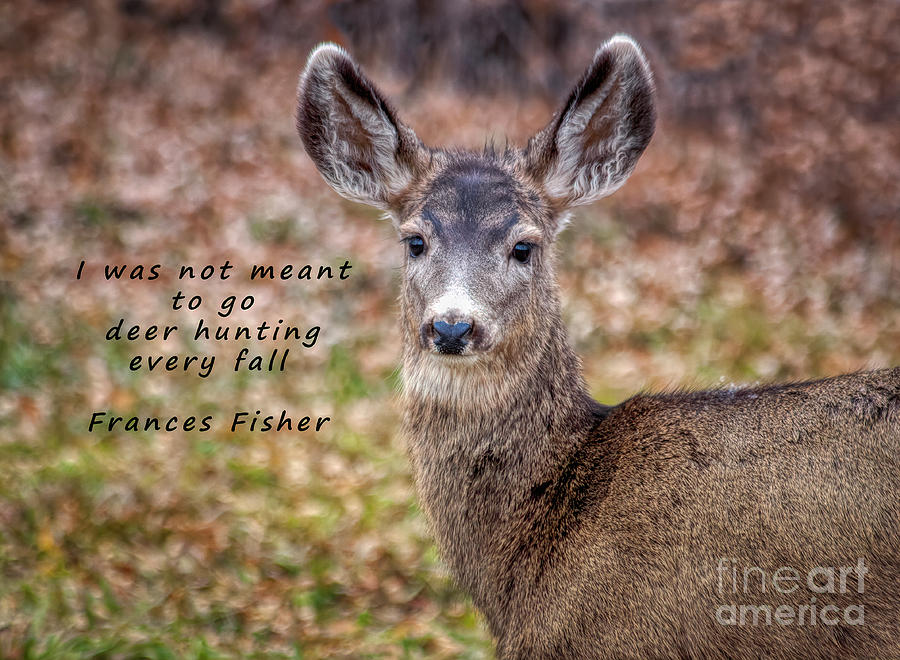 Not Meant To Deer Hunt  by Janice Pariza