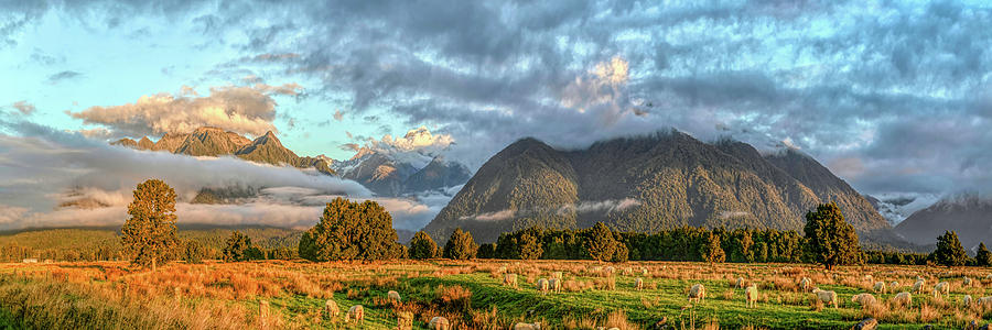 Nothing To See Just Landscape With Sheep In Nz  New Zealand South Island Panorama By Olena Art Photograph