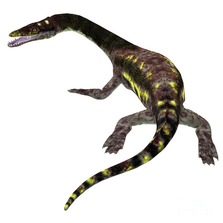 Nothosaurus Reptile Tail Digital Art