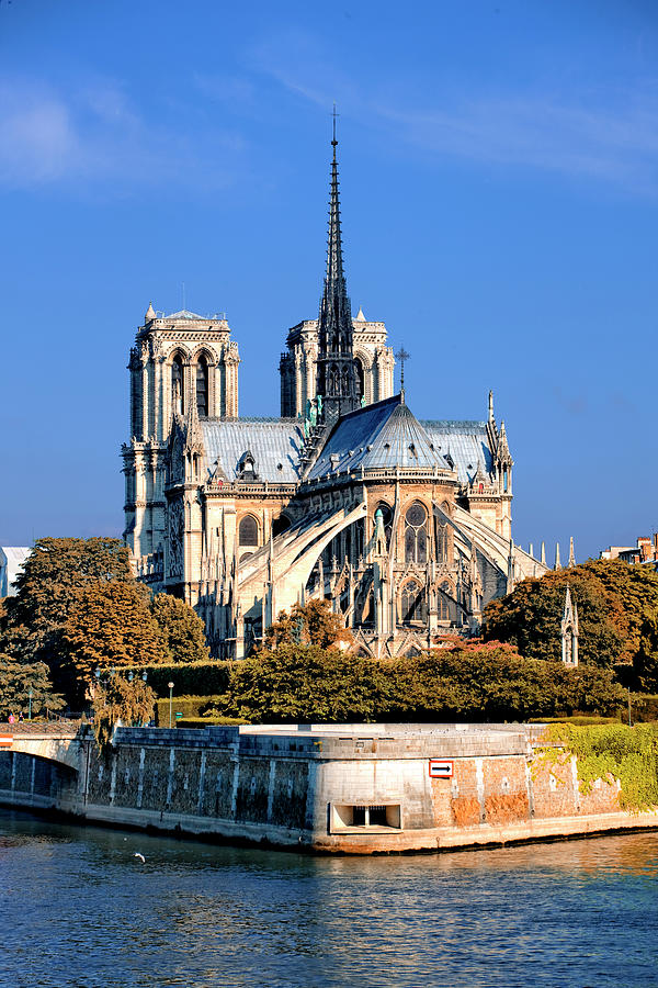 Notre Dame Cathedral And Seine River by Visions Of Our Land