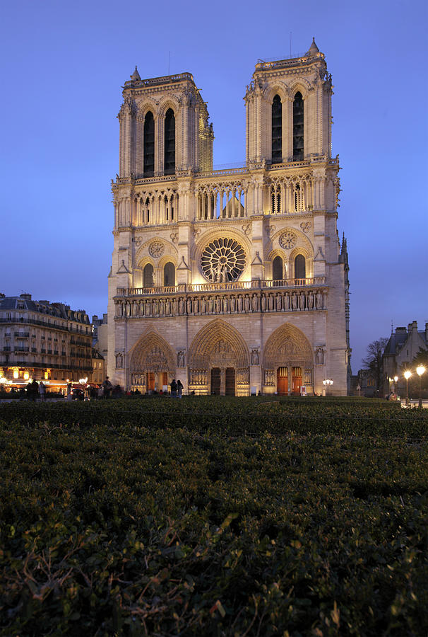 Notre-dame Cathedral In Paris by Massimo Pizzotti