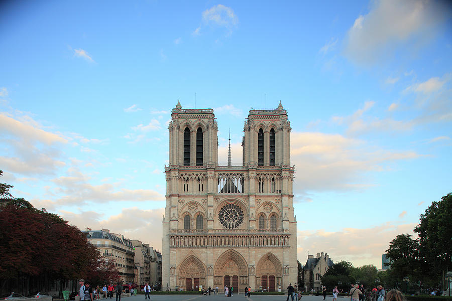 Notre Dame Cathedral Of Paris Photograph by Bruce Yuanyue Bi