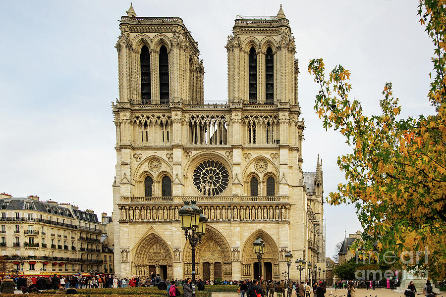 Notre Dame Cathedral Paris France Photograph by Wayne Moran