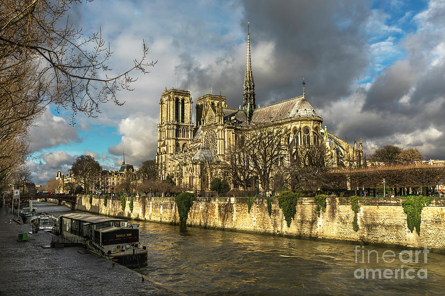 Notre dame cathedral l