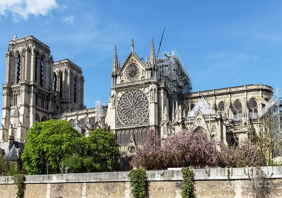 Notre Dame de Paris after the fire Photograph by Ulysse Pixel - Fine ...