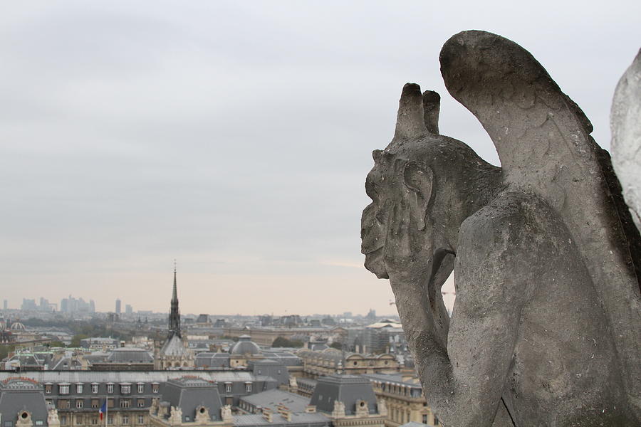 Paris Photograph - Notre Dame gargoyle 2 by Heather Ormsby