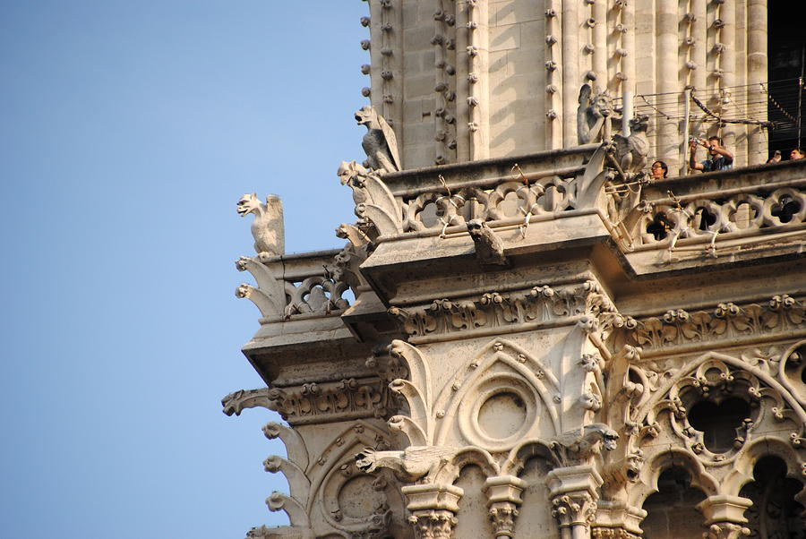 Notre Dame Paris - Keeping Watch Photograph by Jacqueline M Lewis
