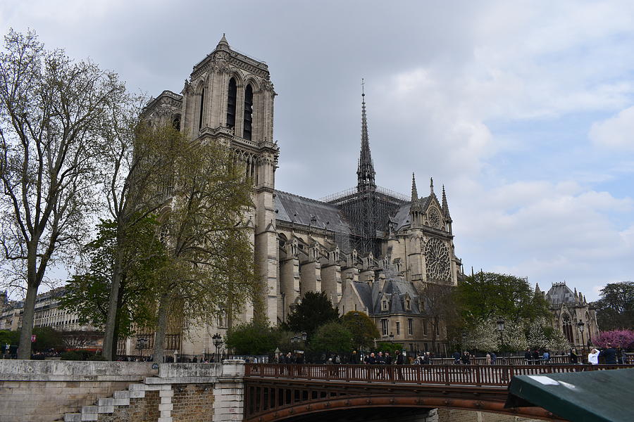 Notre Dame Pre-Combustion Photograph By Stephanie K Pierce - Fine Art ...