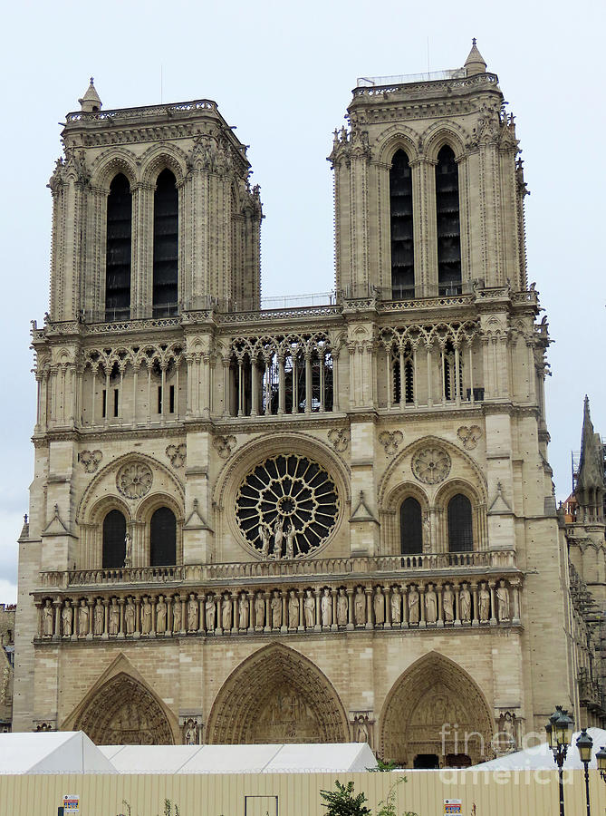 Notre-Dame Re-Construction Photograph by Steven Spak