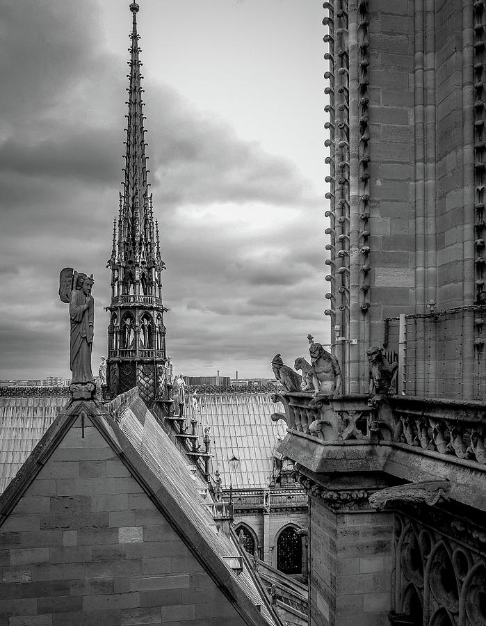 Notre Dame Spire Photograph by Hermes Fine Art