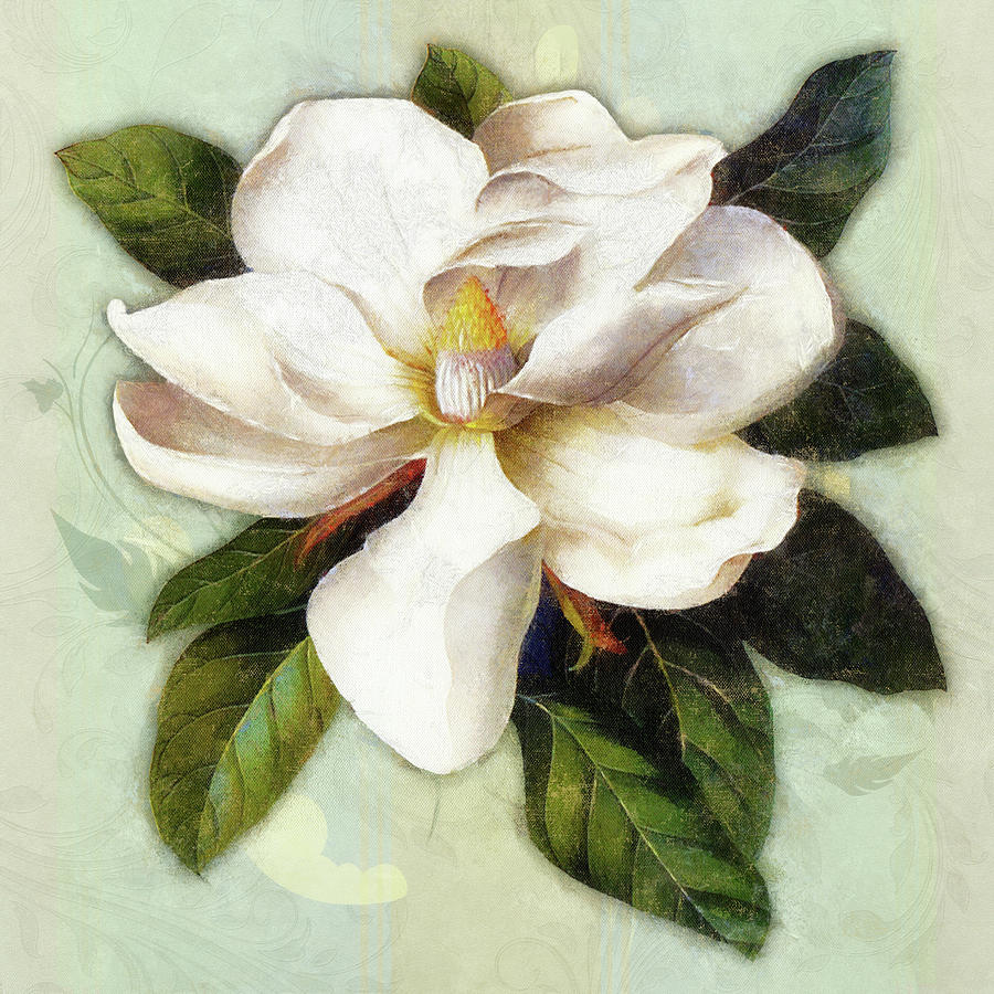 Magnolia Movie Digital Art - Nouveau Botanica by Tina Lavoie