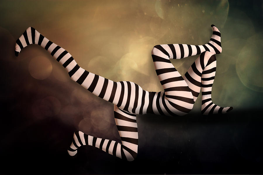 Novelty Striped Four-leggs No 2 Photograph by Erhard Batzdorf