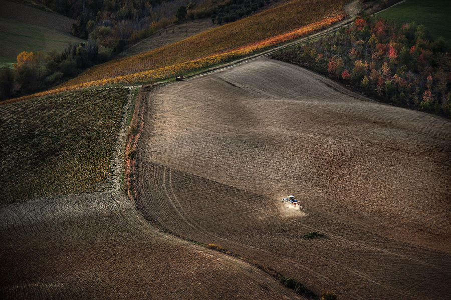 November Fields Photograph by Antonio E Giuliana Corradetti