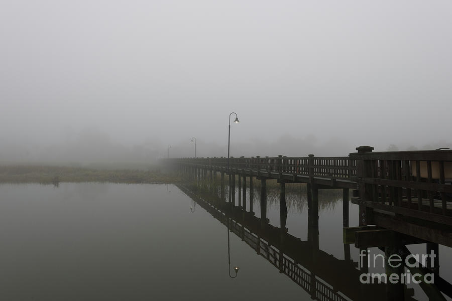 November Foggy Stillness Photograph