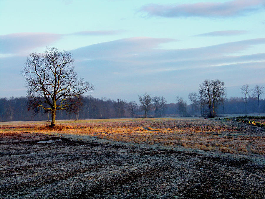 Nature Photograph - November Morn on Story Field by Terrance DePietro