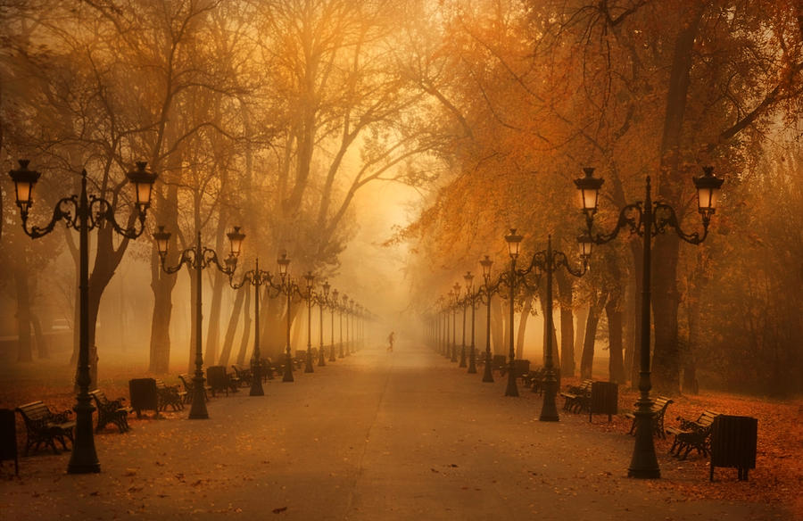 November Morning Photograph by Cristian Andreescu