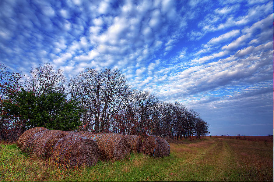 November Round Bales Photograph by Todd Tobey Photography