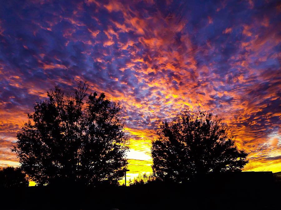 November Sky in Virginia Photograph by Jeremy Guerin